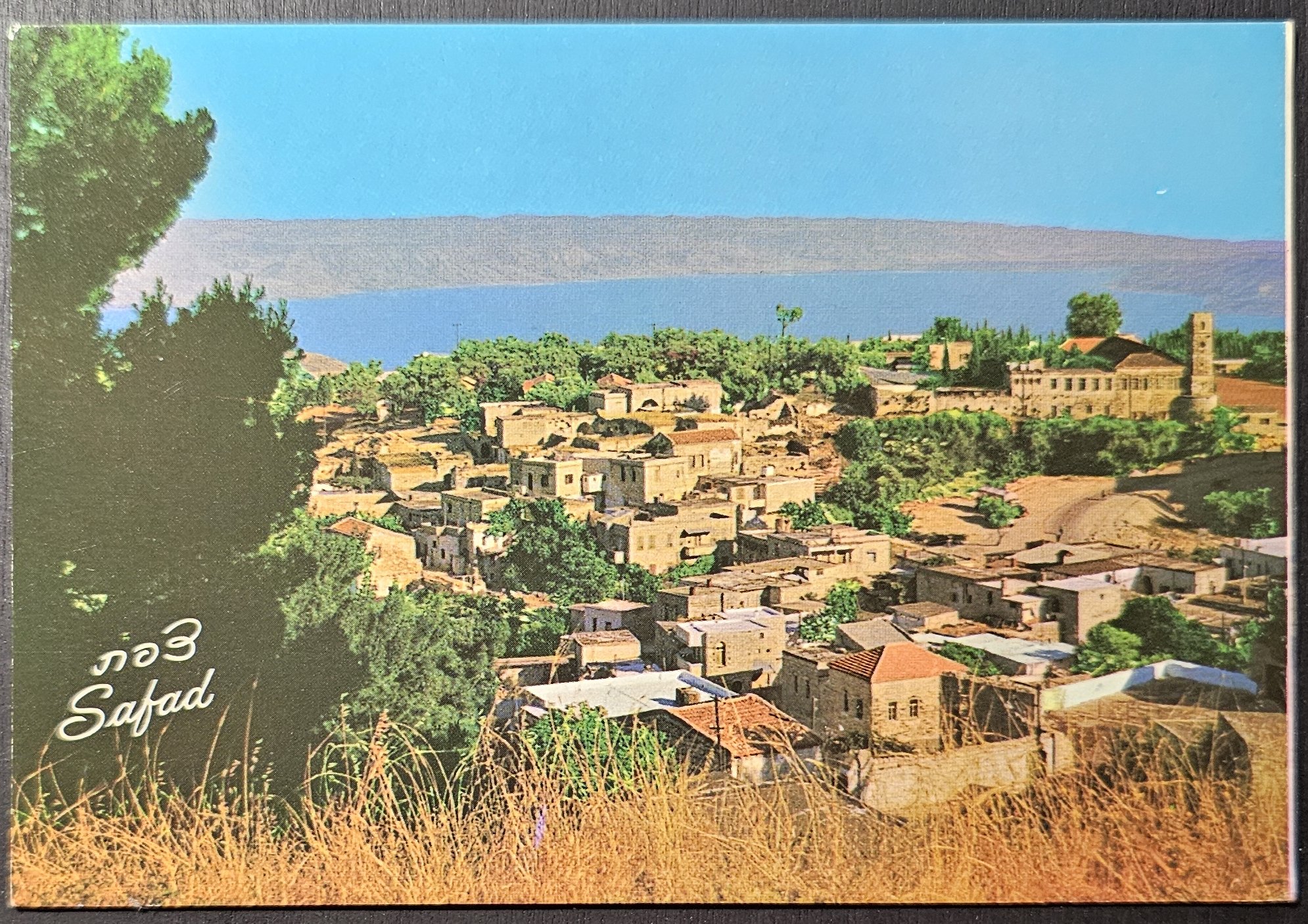 (image for) postcard Israel #0016